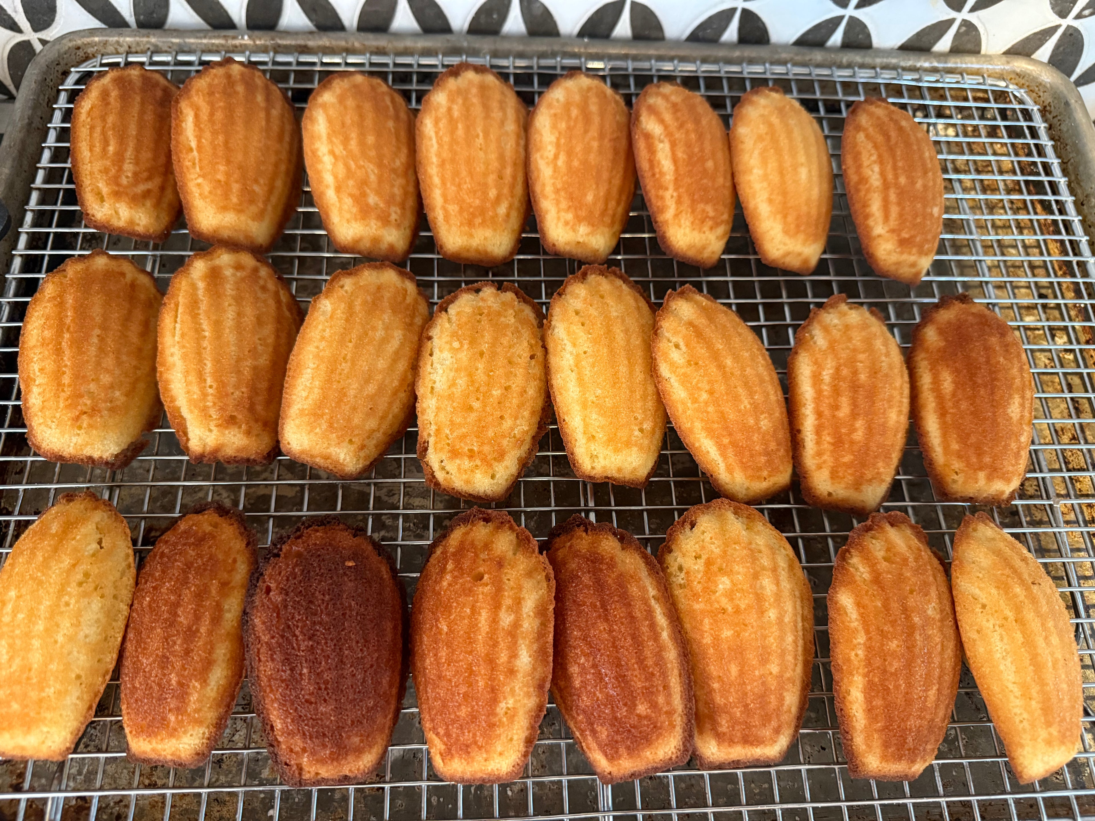 Madeleines - 1doz Large
