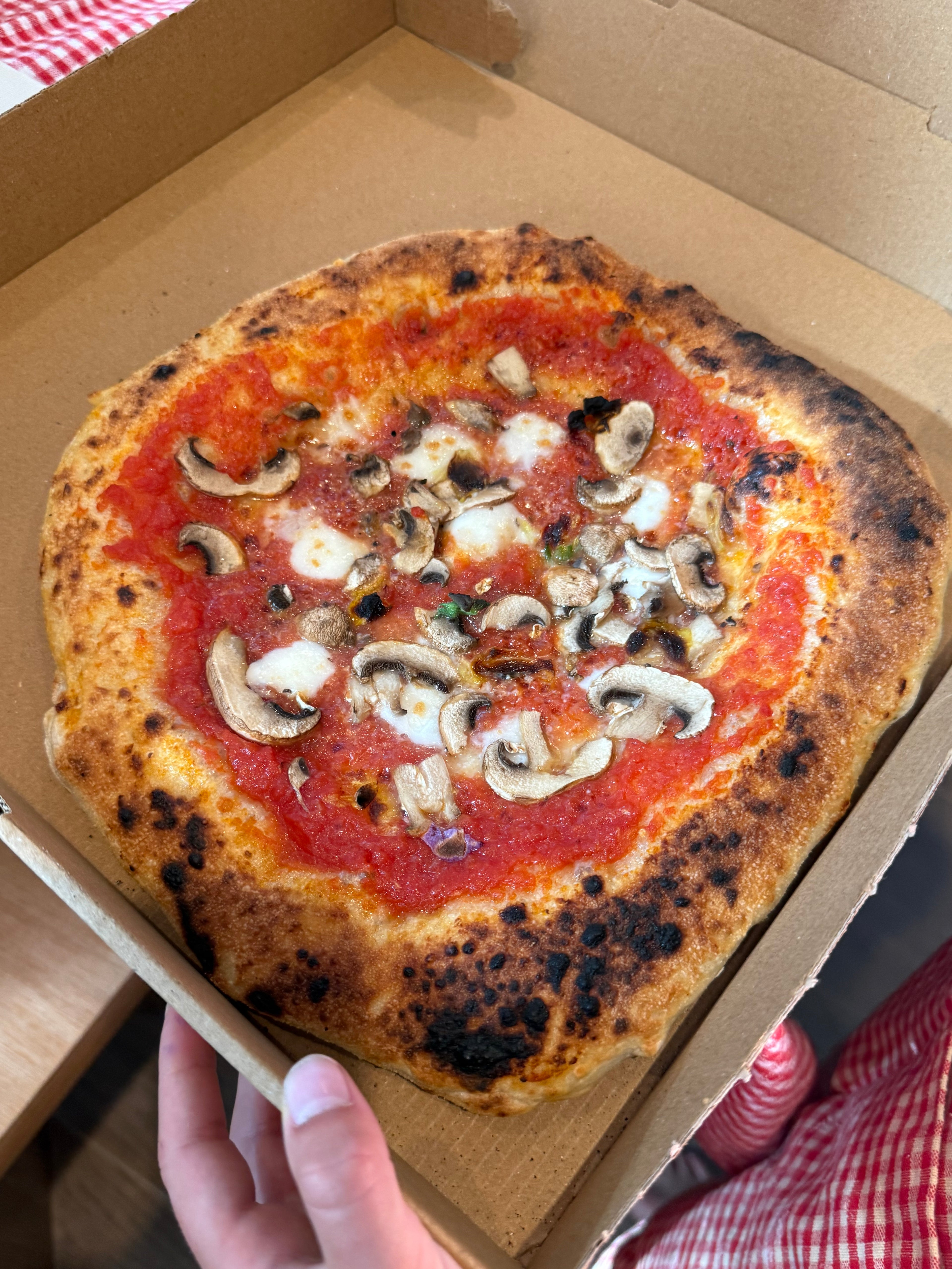Summer Culinary Camp (Ages 6–12) — Full Day Bakery + Restaurant Experience