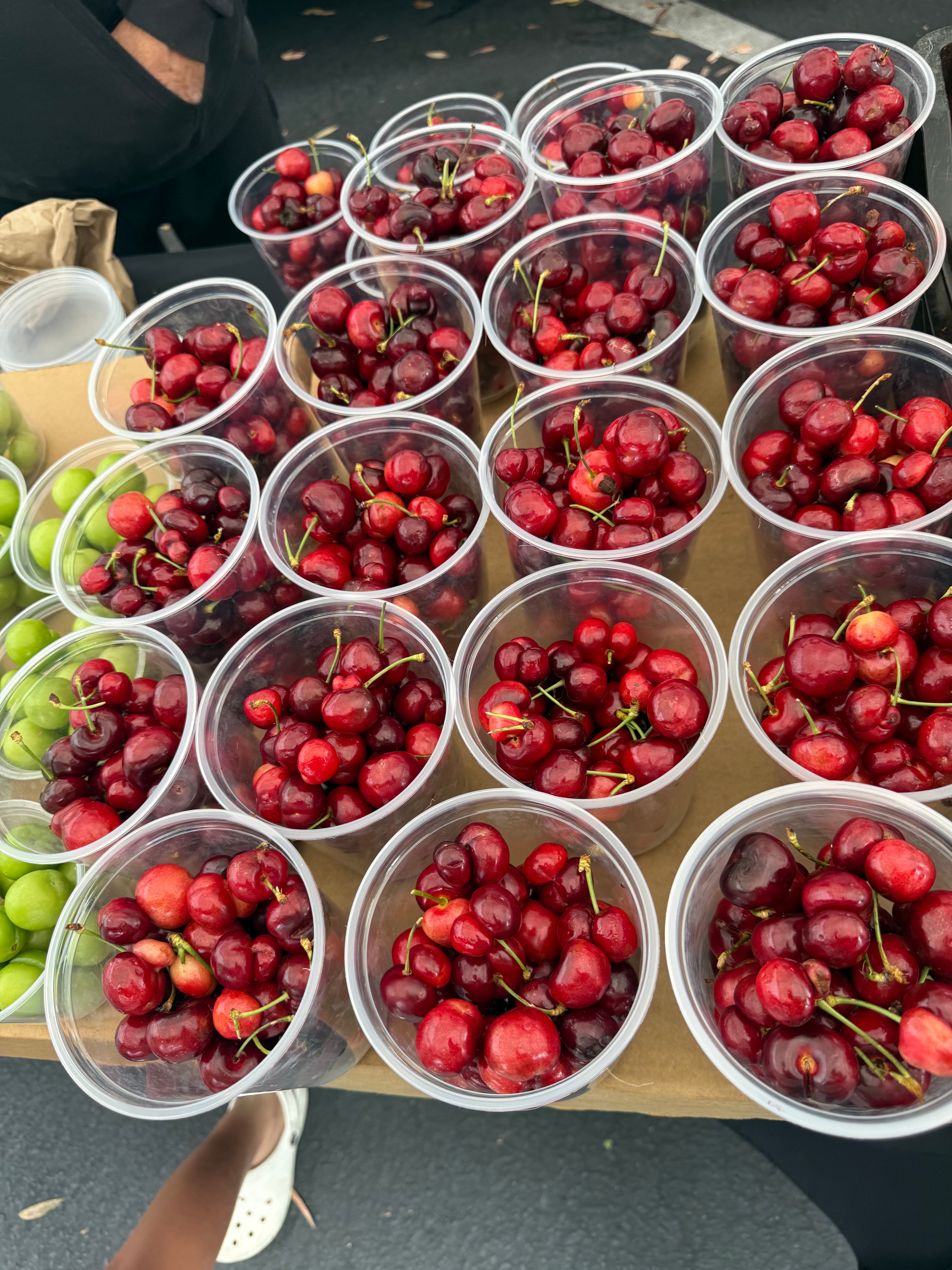 CDM Picnic Club™, Select Saturdays 9:00am-10:30am