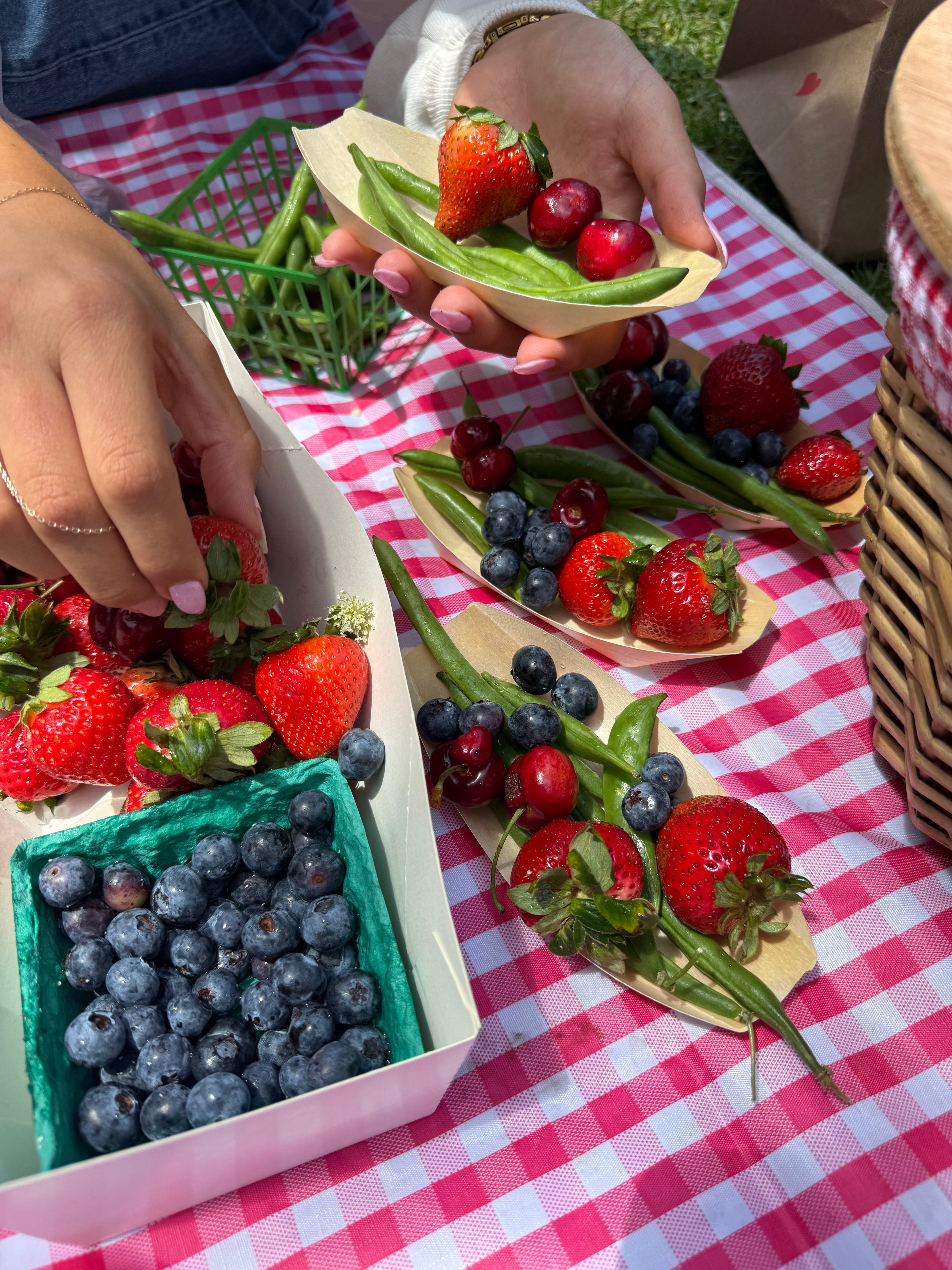 CDM Picnic Club™, Select Saturdays 11:30am-1:00pm