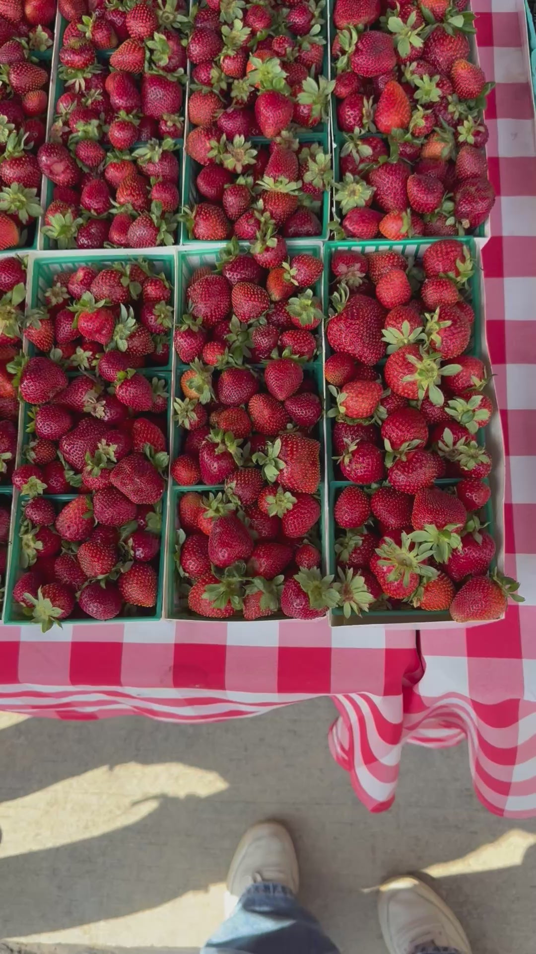 Newport Harbor Picnic Club™, Select Saturdays 9:00am-10:30am